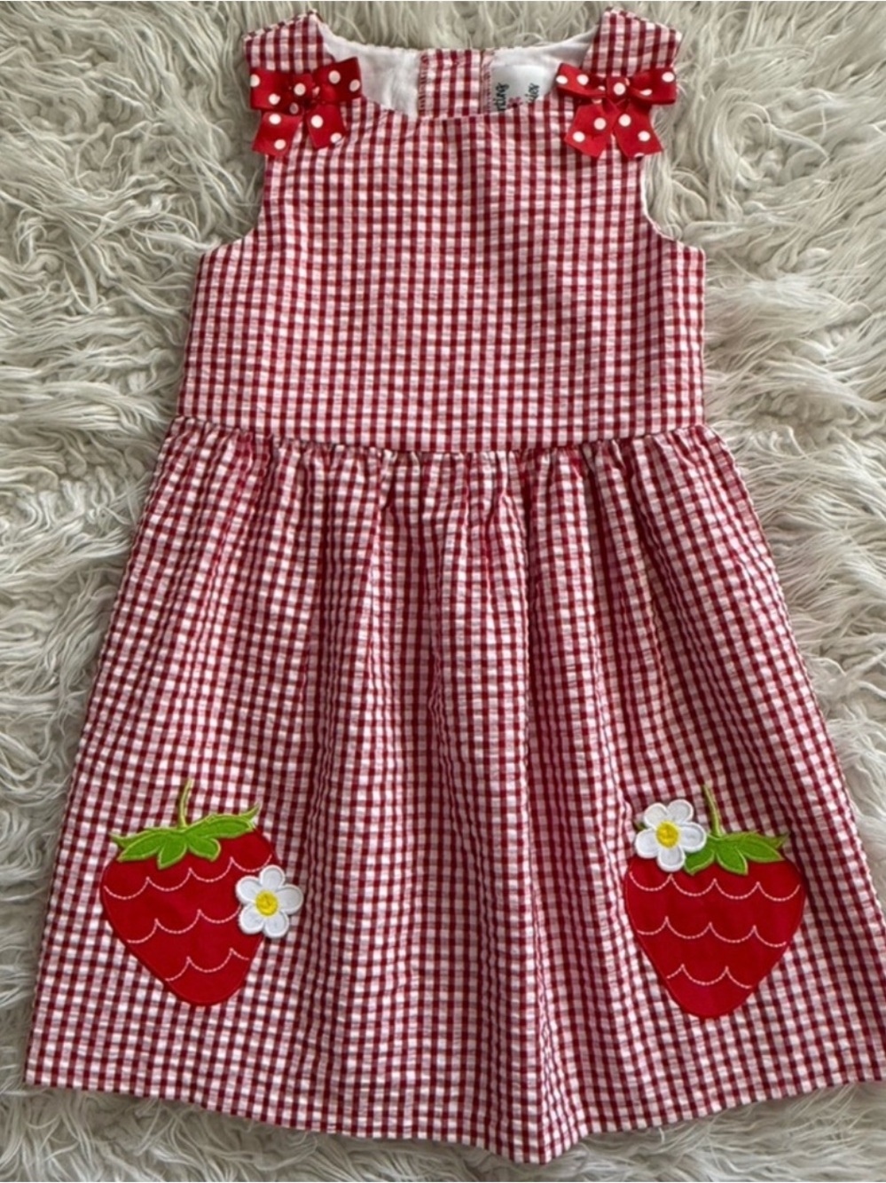 NWOT Counting Daisies Strawberry Gingham Dress